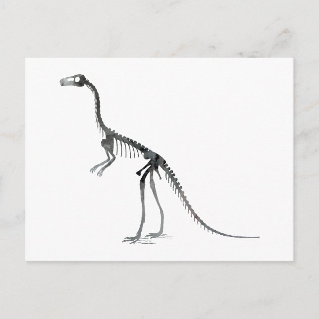 compsognathus skeleton postcard (Front)