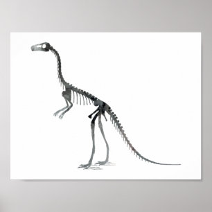 compsognathus skeleton poster