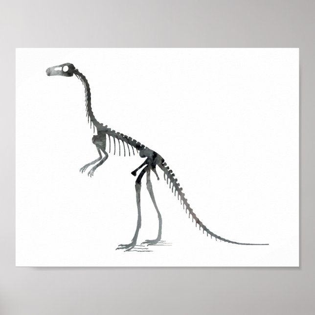 compsognathus skeleton poster (Front)
