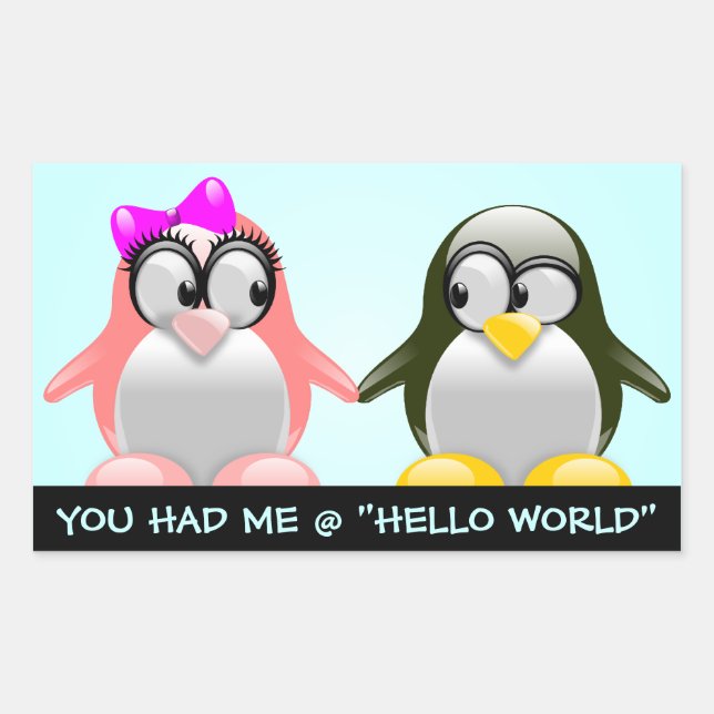 Computer Geek Valentine: Programming Language Love Rectangular Sticker (Front)