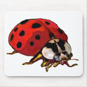 Computer mousepad