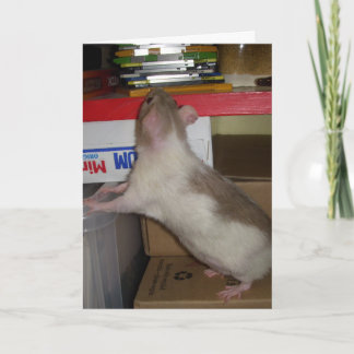Computer Rat Card