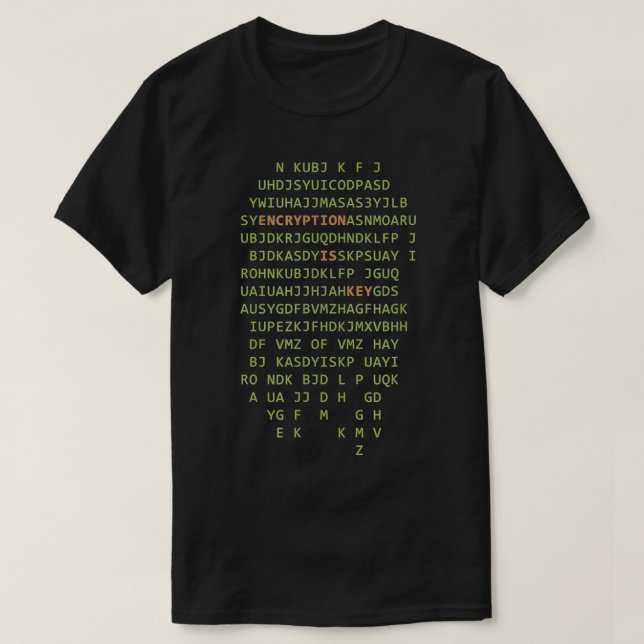 Computer Scientist Hacker Encryption Is Key Progra T-Shirt (Design Front)