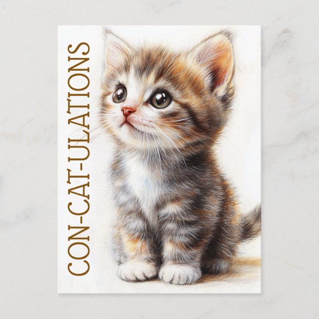 Con-Cat-Ulations, Cat, Kitten, Kitty, Congrats  Postcard (Front)