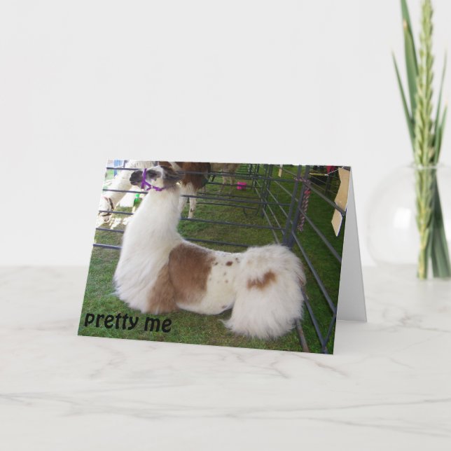 CONCEITED LLAMA BIRTHDAY WISHES CARD (Front)