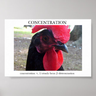 Concentration Poster