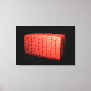Concept Of Stratified Squamous Epithelium 1 Canvas Print