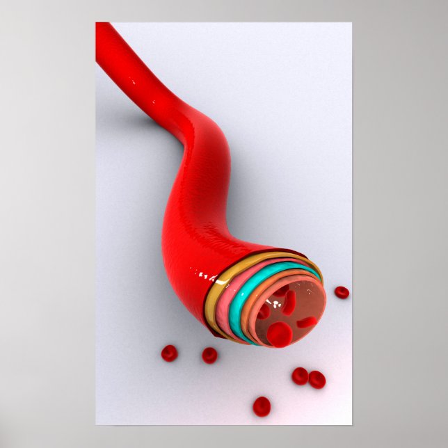 Conceptual Image Of A Blood Vessel Poster (Front)