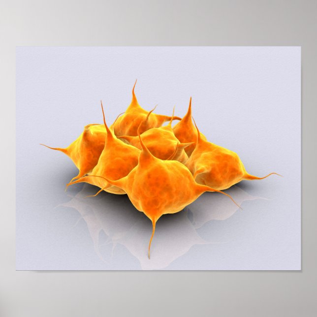 Conceptual Image Of A Group Of Platelets Poster (Front)