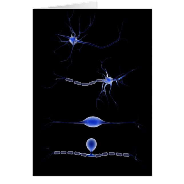 Conceptual Image Of A Neuron 1 (Front)