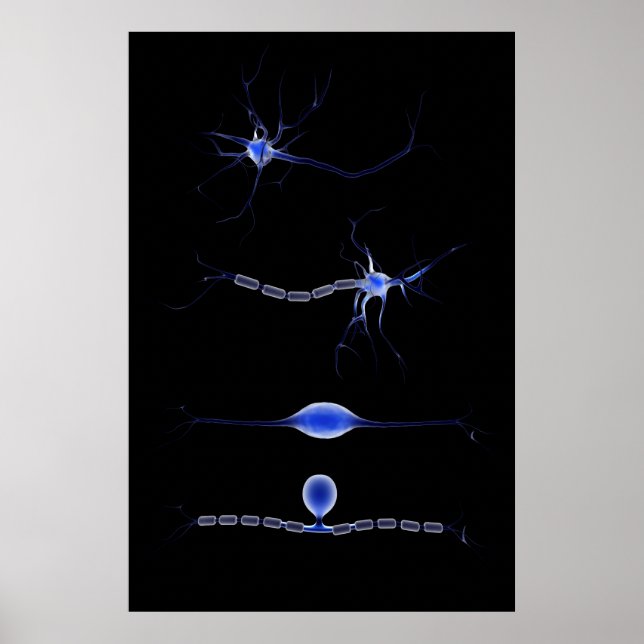Conceptual Image Of A Neuron 1 Poster (Front)