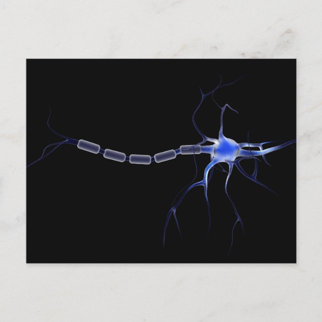 Conceptual Image Of A Neuron 2 Postcard (Front)