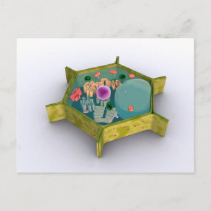 Conceptual Image Of A Plant Cell Postcard