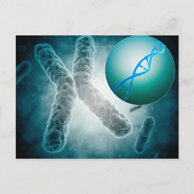 Conceptual Image Of A Telomere Showing DNA Postcard (Front)