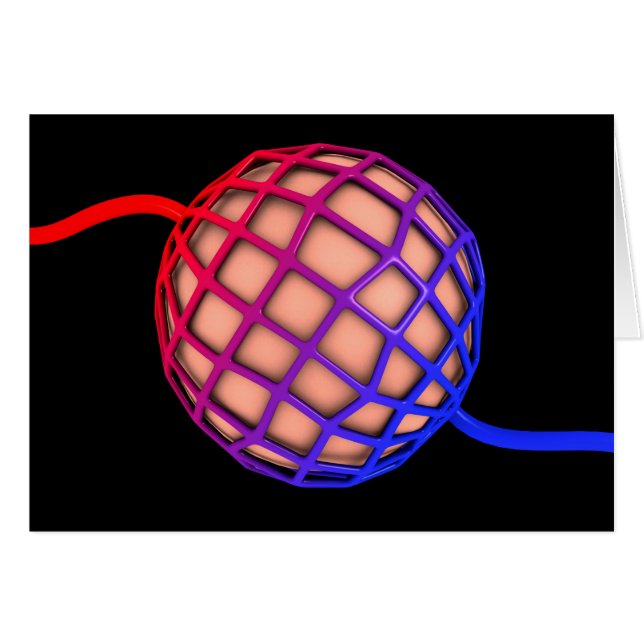 Conceptual Image Of Alveolus (Front Horizontal)