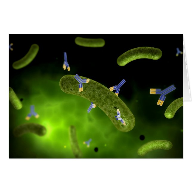 Conceptual Image Of Antibody Killing Bacteria (Front Horizontal)