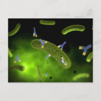 Conceptual Image Of Antibody Killing Bacteria