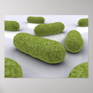 Conceptual Image Of Bacteria 1 Poster