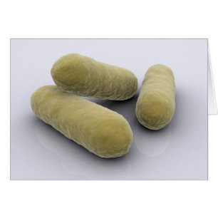 Conceptual Image Of Bacteria 2