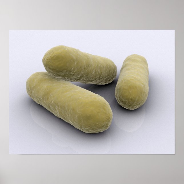 Conceptual Image Of Bacteria 2 Poster (Front)