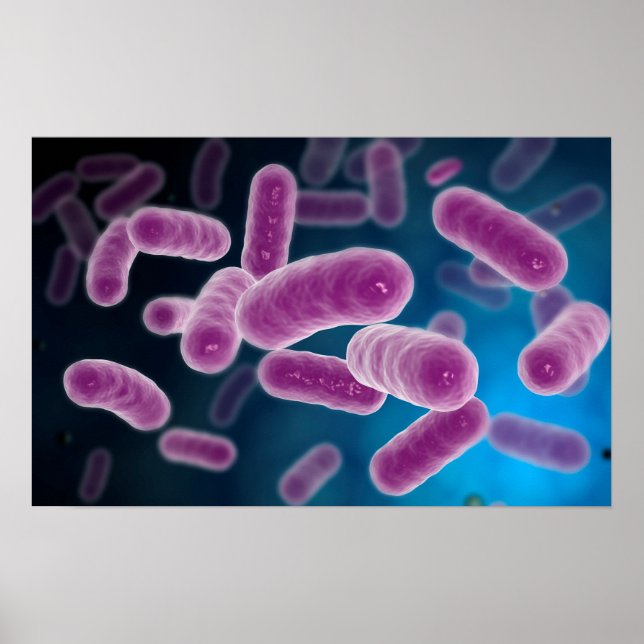 Conceptual Image Of Bacteria 3 Poster (Front)