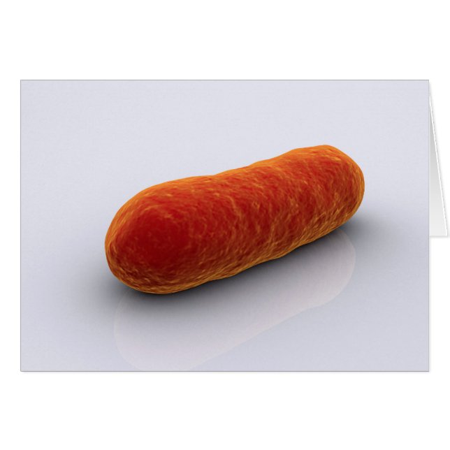 Conceptual Image Of Bacteria 4 (Front Horizontal)