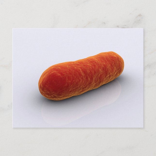 Conceptual Image Of Bacteria 4 Postcard (Front)