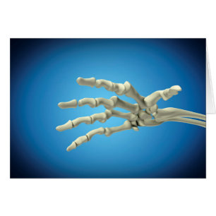 Conceptual Image Of Bones In Human Hand 1