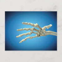 Conceptual Image Of Bones In Human Hand 1
