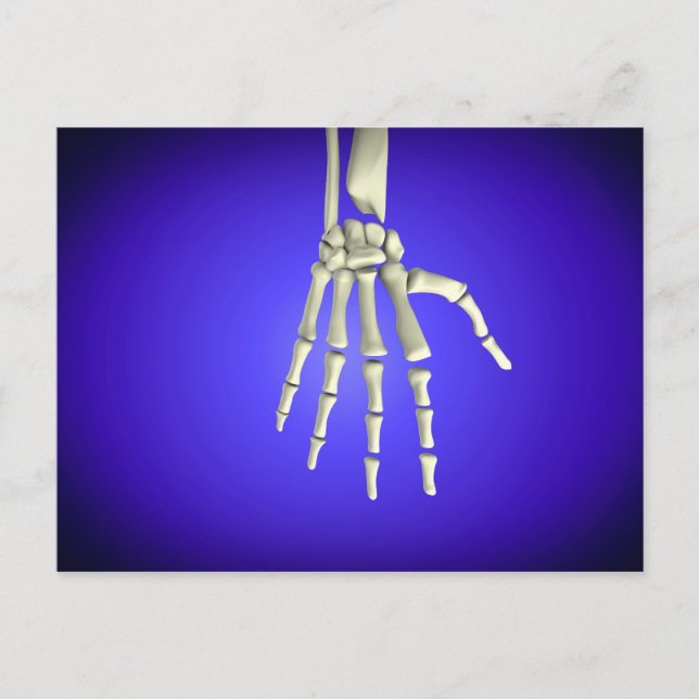 Conceptual Image Of Bones In Human Hand 2 Postcard (Front)