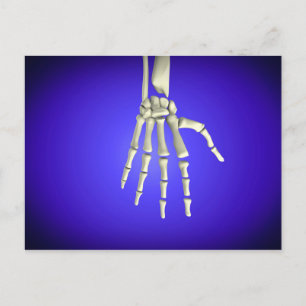 Conceptual Image Of Bones In Human Hand 2 Postcard