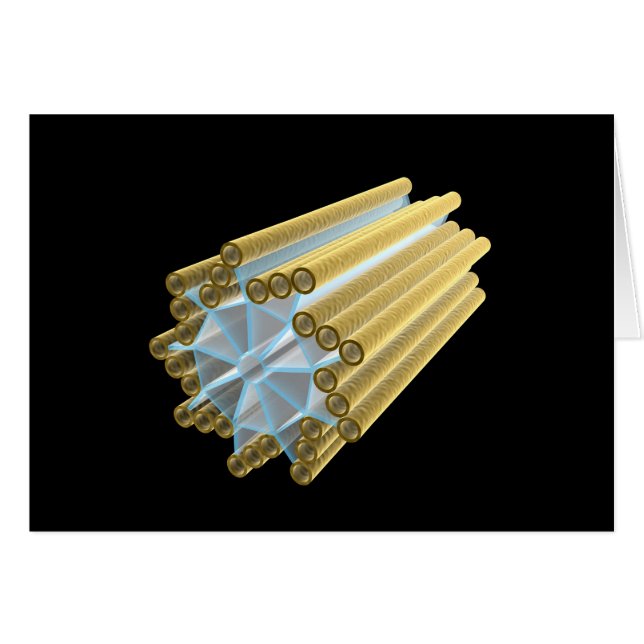 Conceptual Image Of Centriole (Front Horizontal)