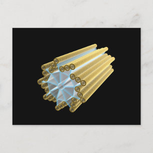 Conceptual Image Of Centriole Postcard
