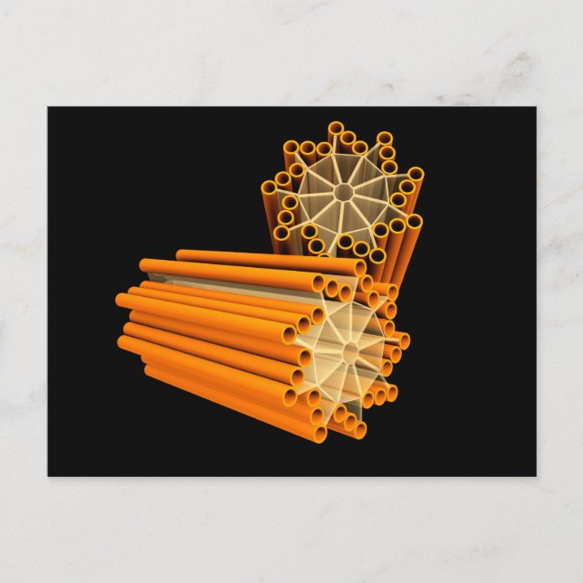Conceptual Image Of Centrioles 1 Postcard (Front)