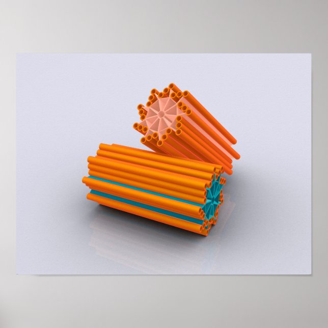 Conceptual Image Of Centrioles 2 Poster (Front)