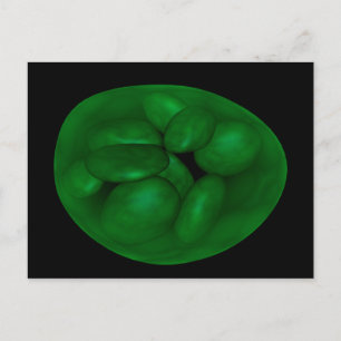 Conceptual Image Of Chloroplast 2 Postcard