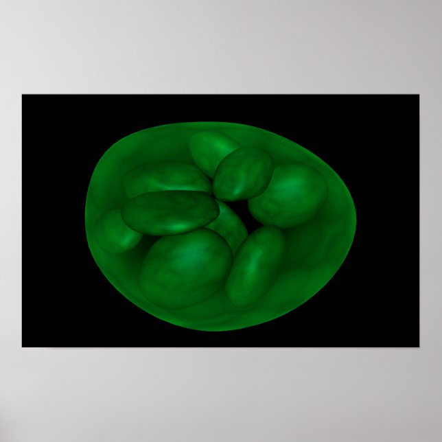 Conceptual Image Of Chloroplast 2 Poster (Front)