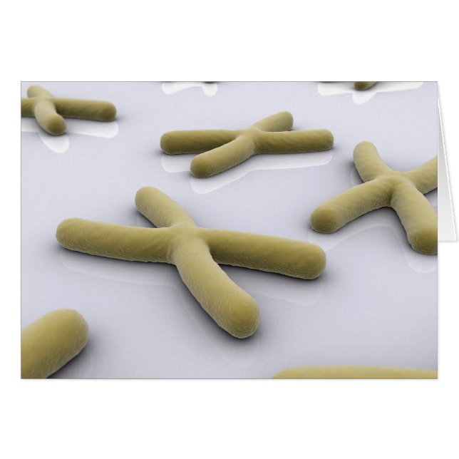 Conceptual Image Of Chromosome 1 (Front Horizontal)