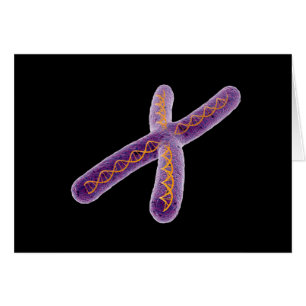 Conceptual Image Of Chromosome 2