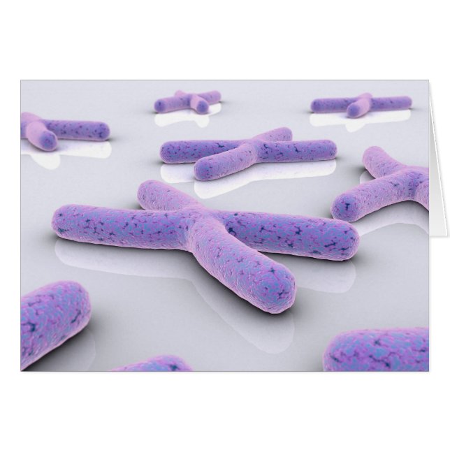 Conceptual Image Of Chromosome 4 (Front Horizontal)