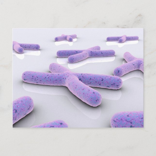 Conceptual Image Of Chromosome 4 Postcard (Front)