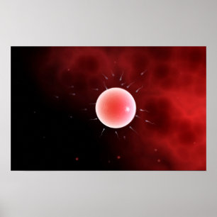 Conceptual Image Of Common Fertilisation Poster