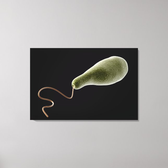 Conceptual Image Of Euglena 2 Canvas Print (Front)