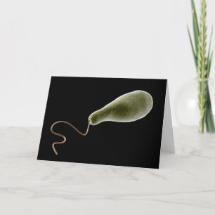 Conceptual Image Of Euglena 2 Card
