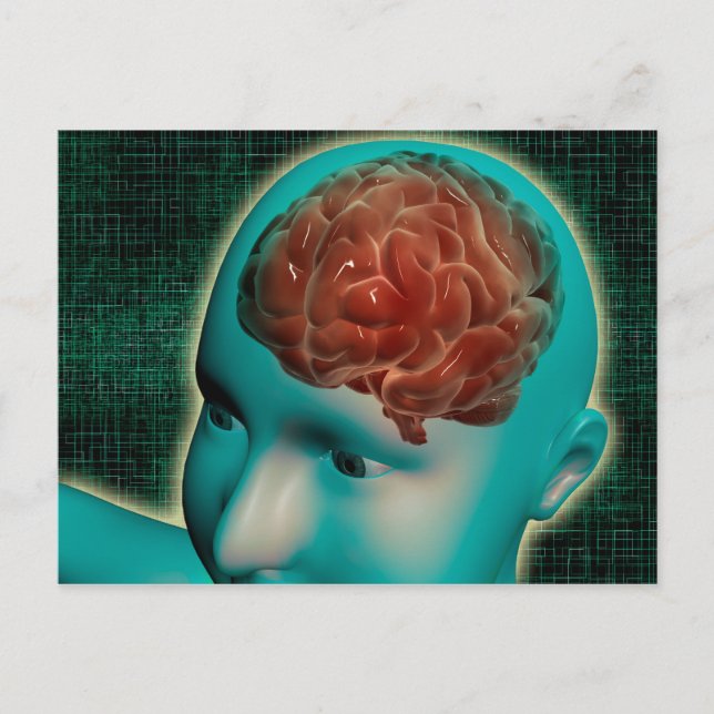 Conceptual Image Of Female Body With Brain 1 Postcard (Front)