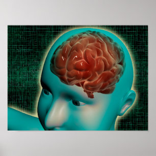 Conceptual Image Of Female Body With Brain 1 Poster