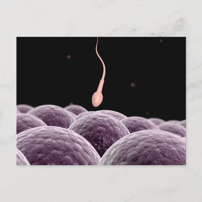 Conceptual Image Of Fertilisation Postcard (Front)