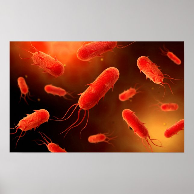 Conceptual Image Of Flagellate Bacterium 1 Poster (Front)