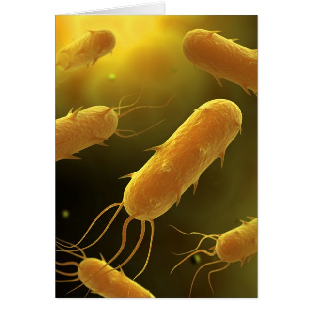 Conceptual Image Of Flagellate Bacterium 3 (Front)