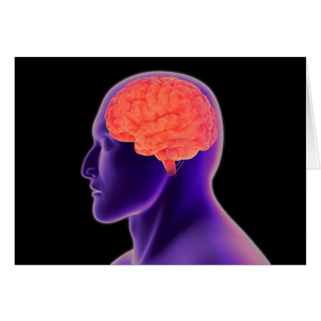 Conceptual Image Of Human Brain 1 (Front Horizontal)